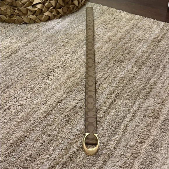 Brown and Gold Women's Belt - Picture 3 of 4